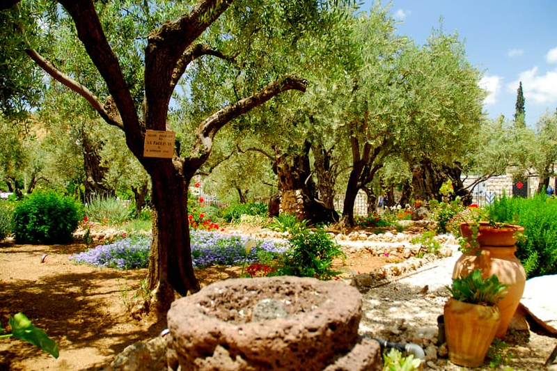Garden of Gethsemane – St. Peter in Gallicantu – Garden Tomb